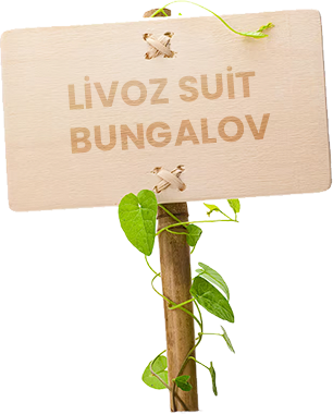 Livoz Suit Bungalov